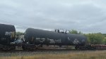 NATX 38162